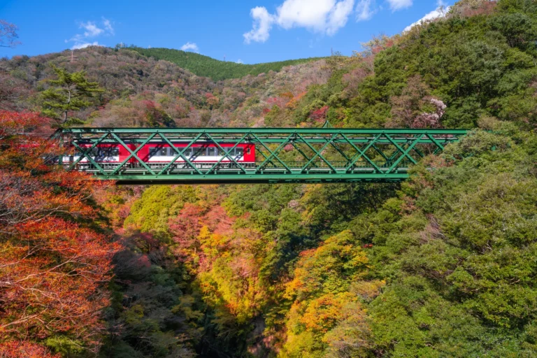 A red and white Hakone Tozan Railway train crossing the green steel truss of the Deyama iron bridge above a steep valley of red, orange, yellow and green trees, under a blue sky
