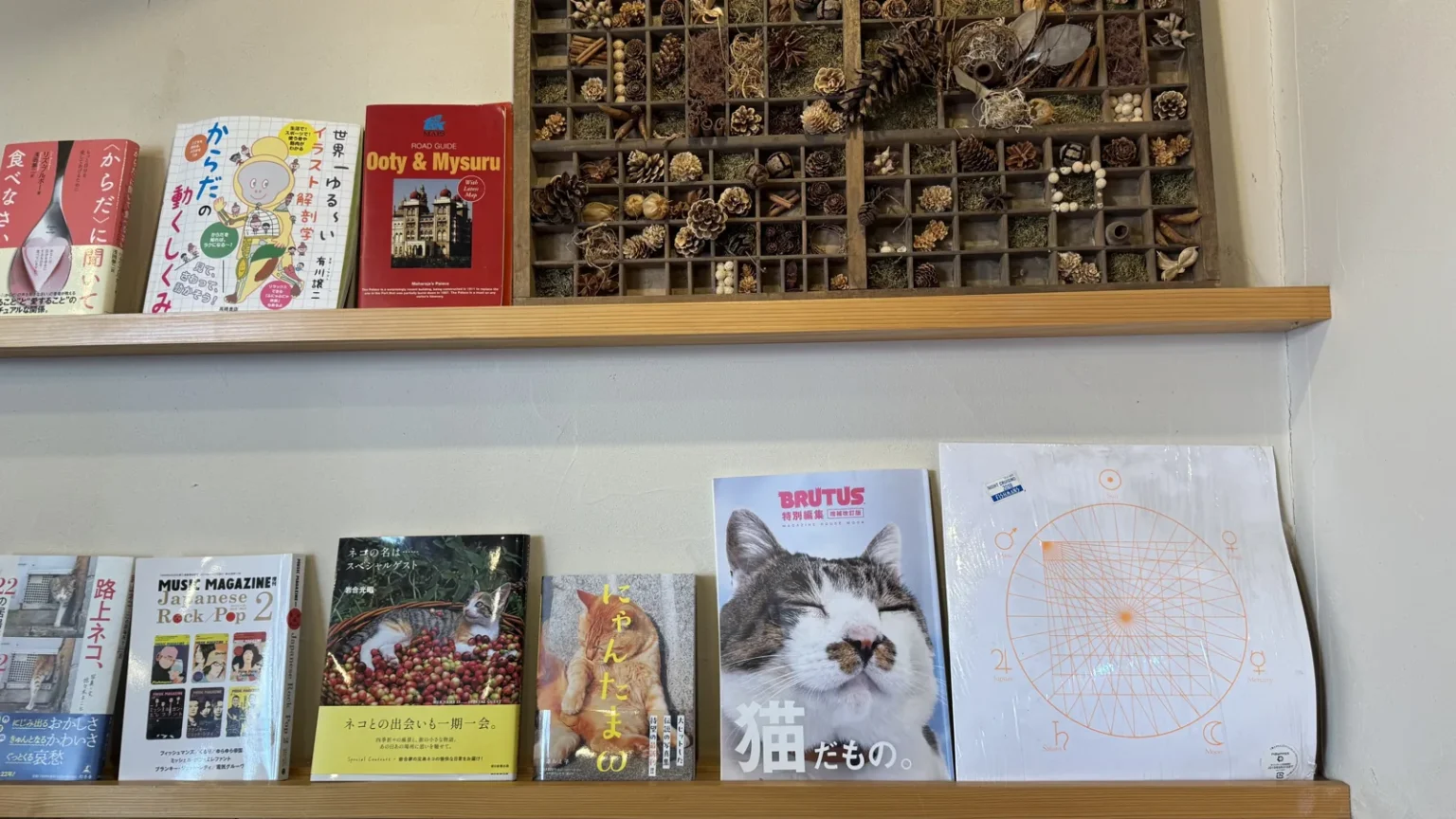 Wall shelves holding magazines and photo books, with a wooden case of small compartments holding pine cones and dried plants on the upper shelf
