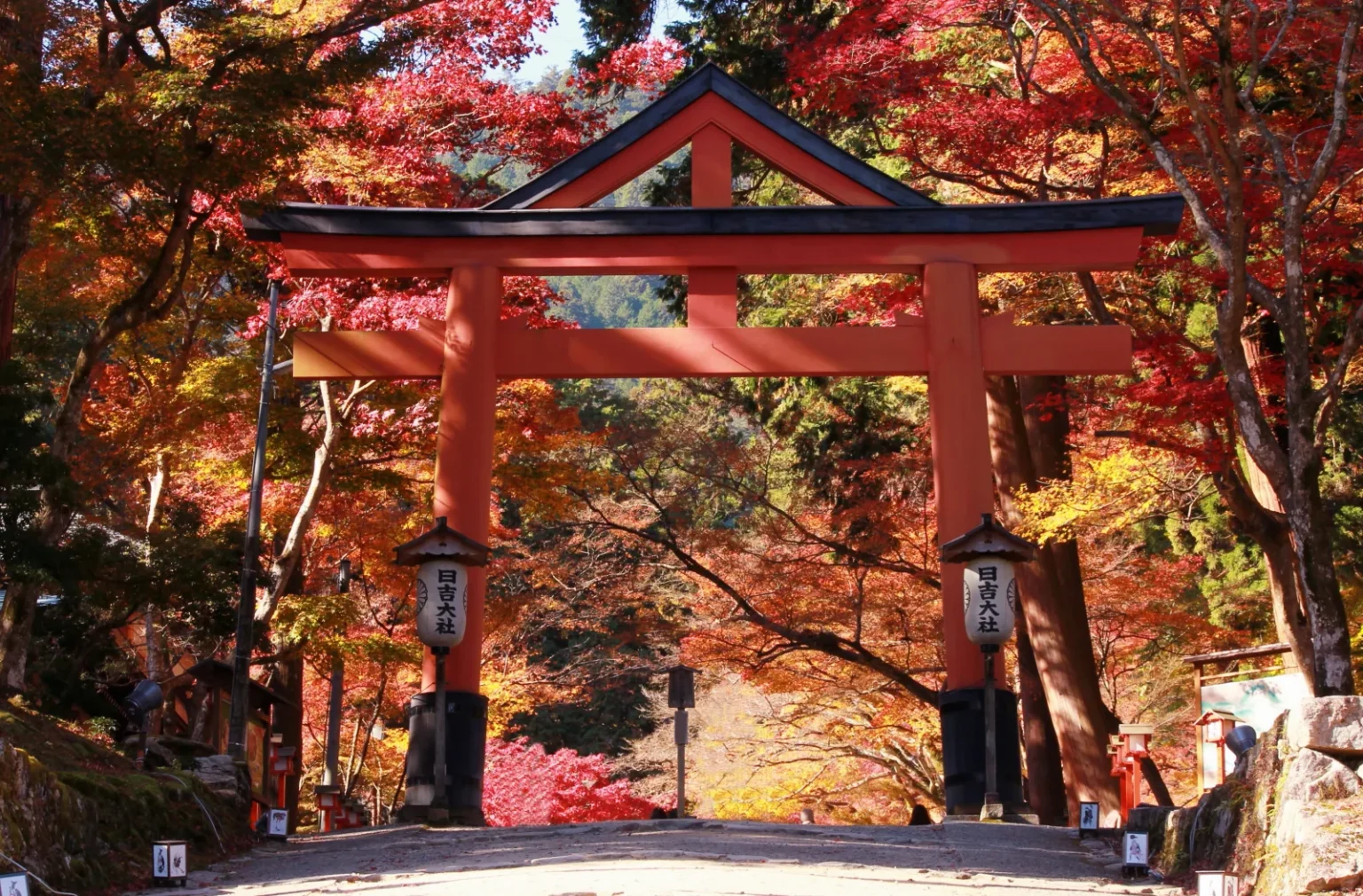 The vermilion Sanno torii gate of Hiyoshi Taisha in Sakamoto, framed by red and orange maple leaves