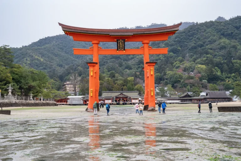 Visitors walking on the exposed seabed to the Great Torii of Itsukushima Shrine at low tide, Miyajima