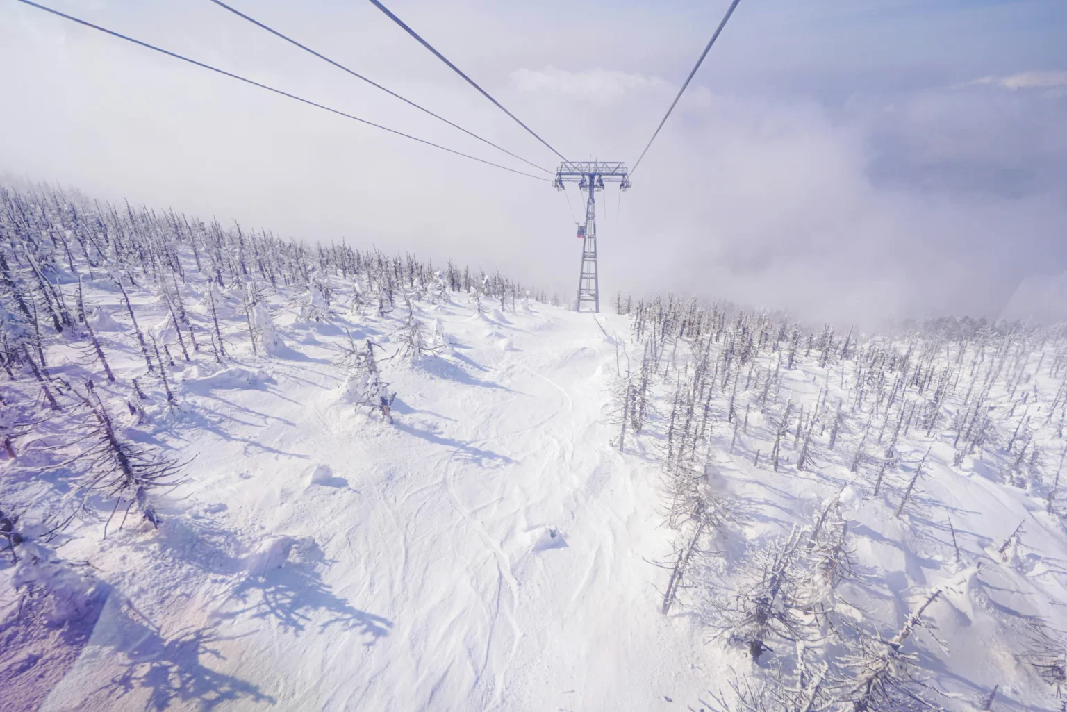 Lift cables and a steel pylon above snow-covered trees and a groomed slope in the Zao mountains of Yamagata