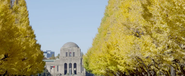 Golden ginkgo trees line both sides of the Meiji Jingu Gaien avenue in Tokyo, with the stone dome of the Meiji Memorial Picture Gallery standing at the far end under a clear sky