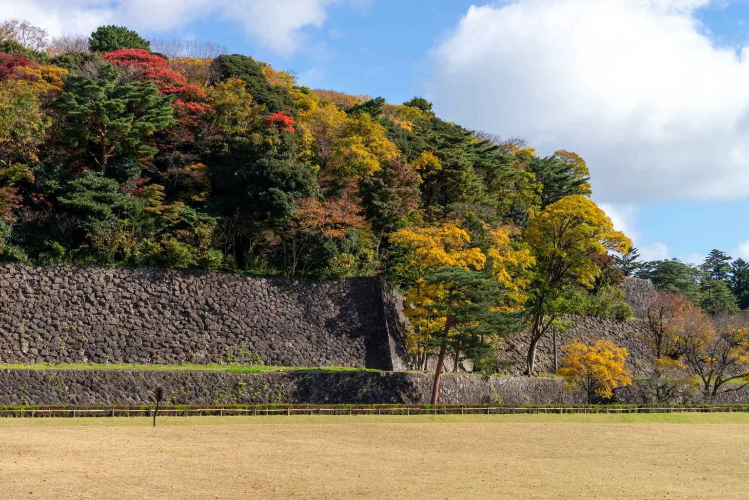 A high dry-stone wall below a wooded slope of green pines and red, orange and yellow trees, with a yellow tree at the foot of the wall, a low fence and a pale lawn in the foreground, under a blue sky with white clouds