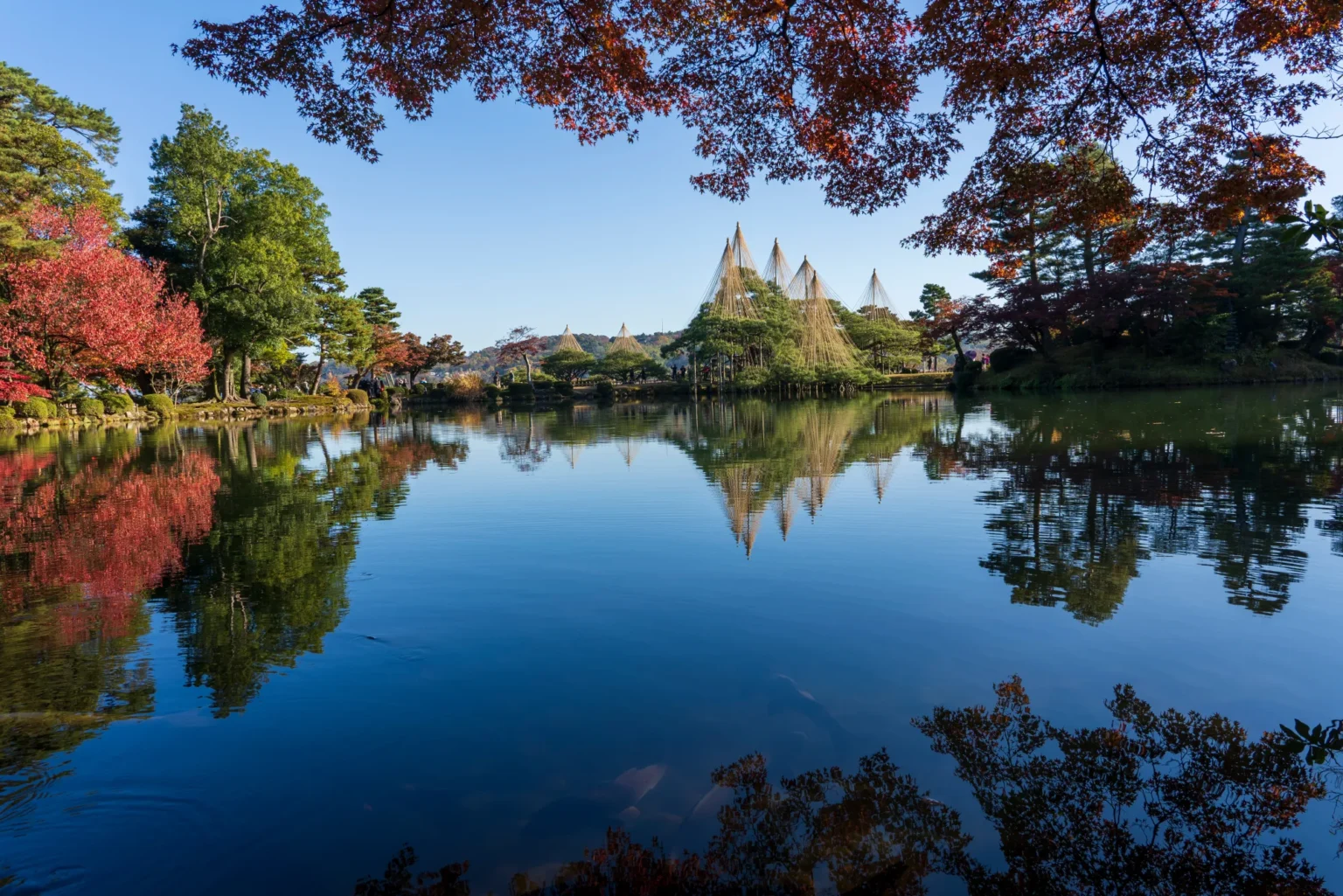 A still pond at Kenrokuen under a blue sky, with red maples on the left bank, red leaves hanging across the top of the frame, and several tall cones of yukitsuri ropes rising above a pine on the far shore, all reflected in the water