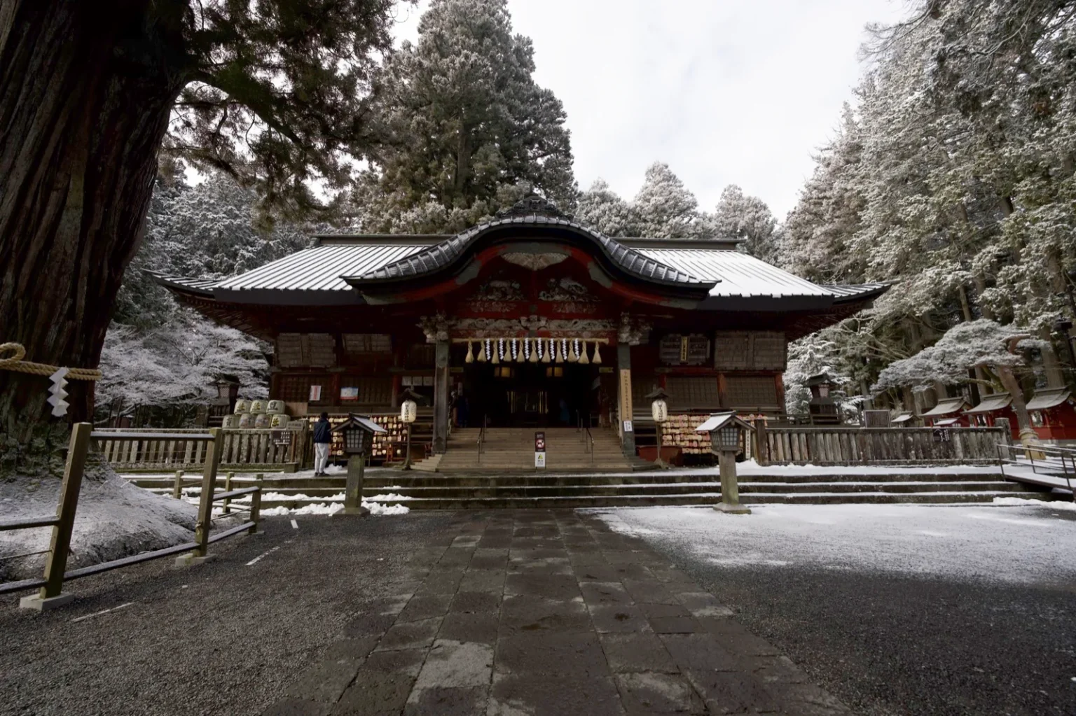 The front of the worship hall of Kitaguchi Hongu Fuji Sengen Shrine, a long low hall with a curved central gable over the entrance, stone steps, wooden fences, and snow on the paving and on the cedars behind, with a thick tree trunk at the left edge, at 7:59 a.m. on 9 March 2025