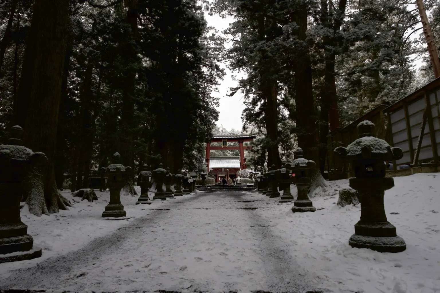 A straight, snow-covered gravel approach between rows of tall dark cedars and stone lanterns capped with snow, a wooden wall on the right, and the red great torii small at the far end, at 8:12 a.m. on 9 March 2025