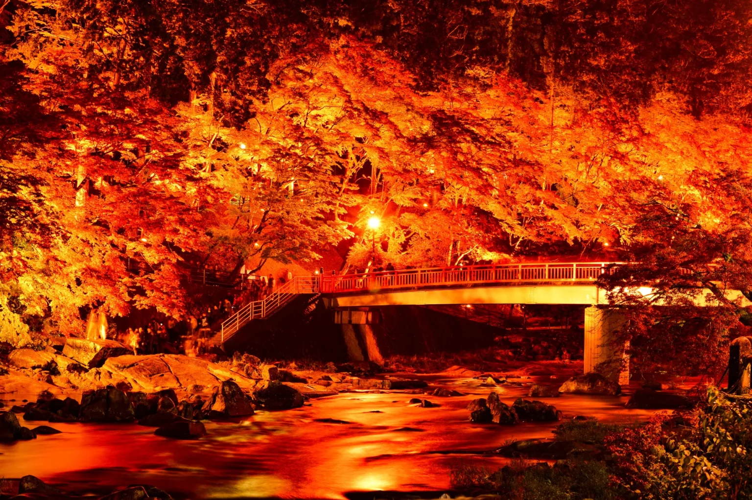 Maple trees lit orange and red at night above a rocky river, with a lit footbridge crossing the water and the light reflected on the moving surface