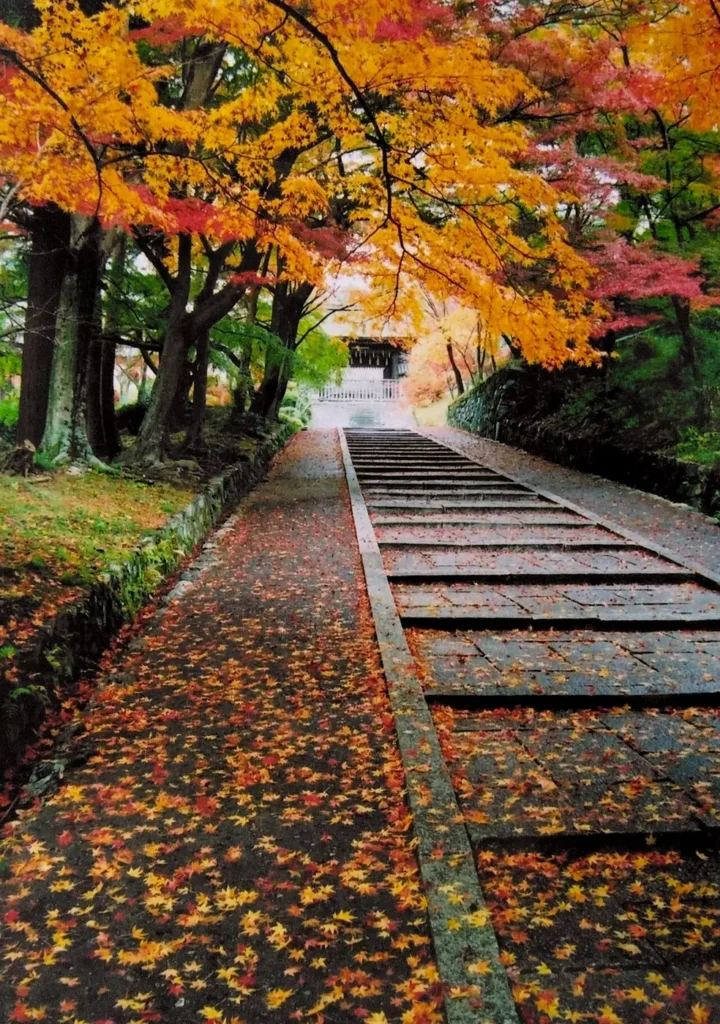 A long stepped stone approach and a paved path beside it, both covered in small fallen red and yellow maple leaves, rising under arching orange and yellow maples towards a white-walled gate at the top.
