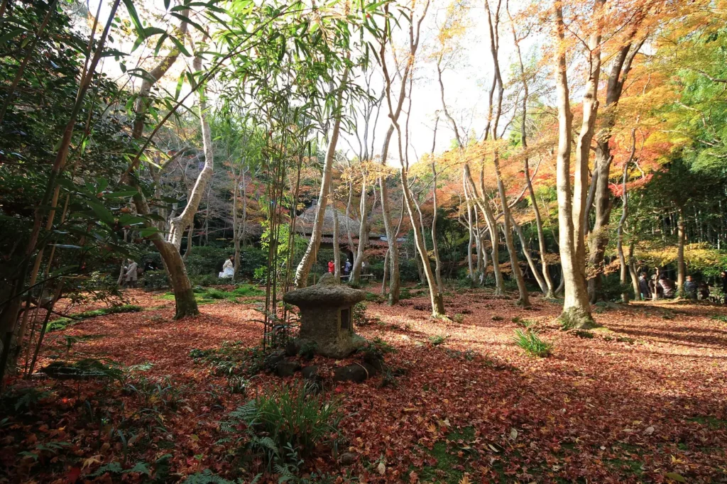 A moss garden covered in fallen red and brown maple leaves under thin-trunked trees with orange and yellow leaves, a squat stone lantern in the centre and a thatched hut in the background where a few visitors stand.