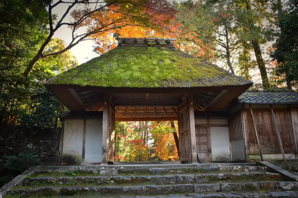 A small temple gate with a thick roof of green moss over thatch, worn stone steps leading up to it, and orange and red maple leaves visible through the open gateway and in the trees above.