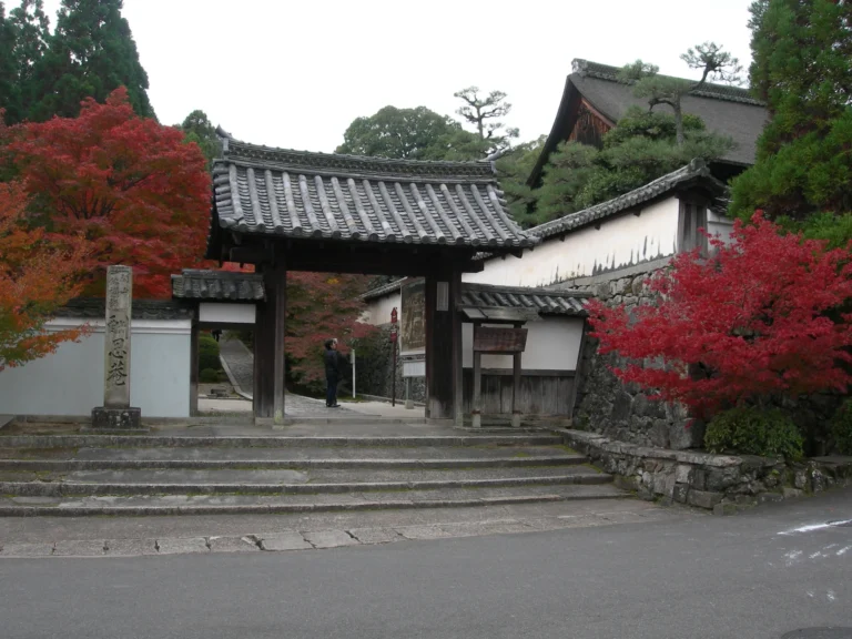 The outer gate of Ikkyuji at the top of a short flight of stone steps: a small gate with a dark tiled roof between white walls, a stone pillar inscribed with the temple name at the left, and maples in bright red leaf on both sides.