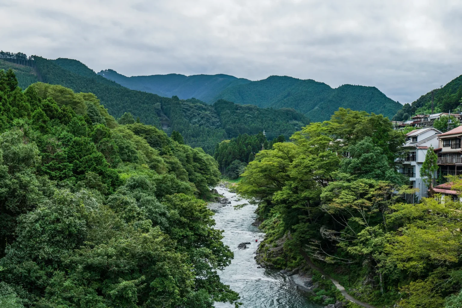 The Tama River flowing through Mitake Gorge in Ome, Tokyo, between steep forested hills, with a row of houses on the slope above one bank and green mountains in the distance under a cloudy sky