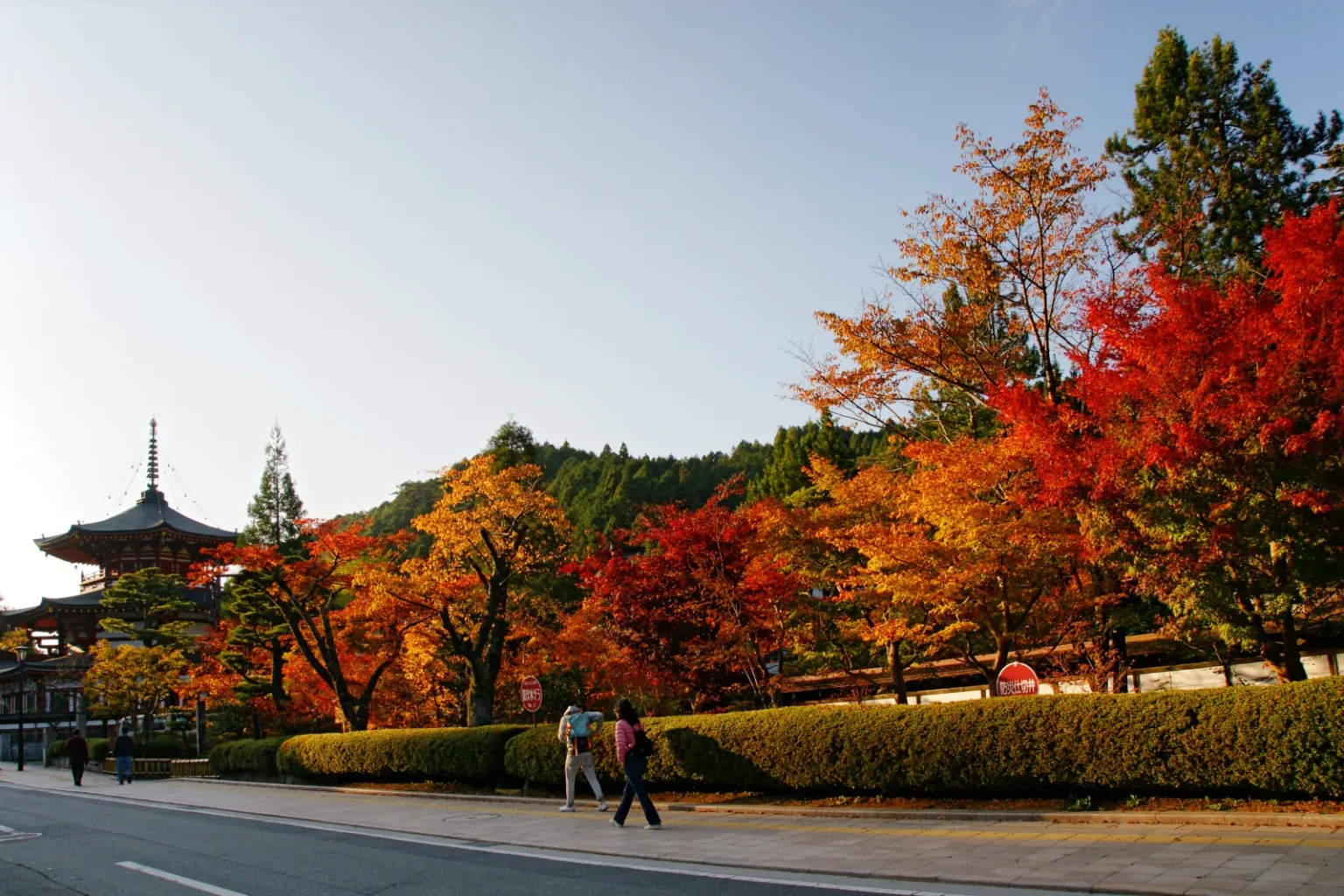 Red, orange and yellow maple trees along a road on Mount Koya with a pagoda roof on the left and two people walking on the pavement