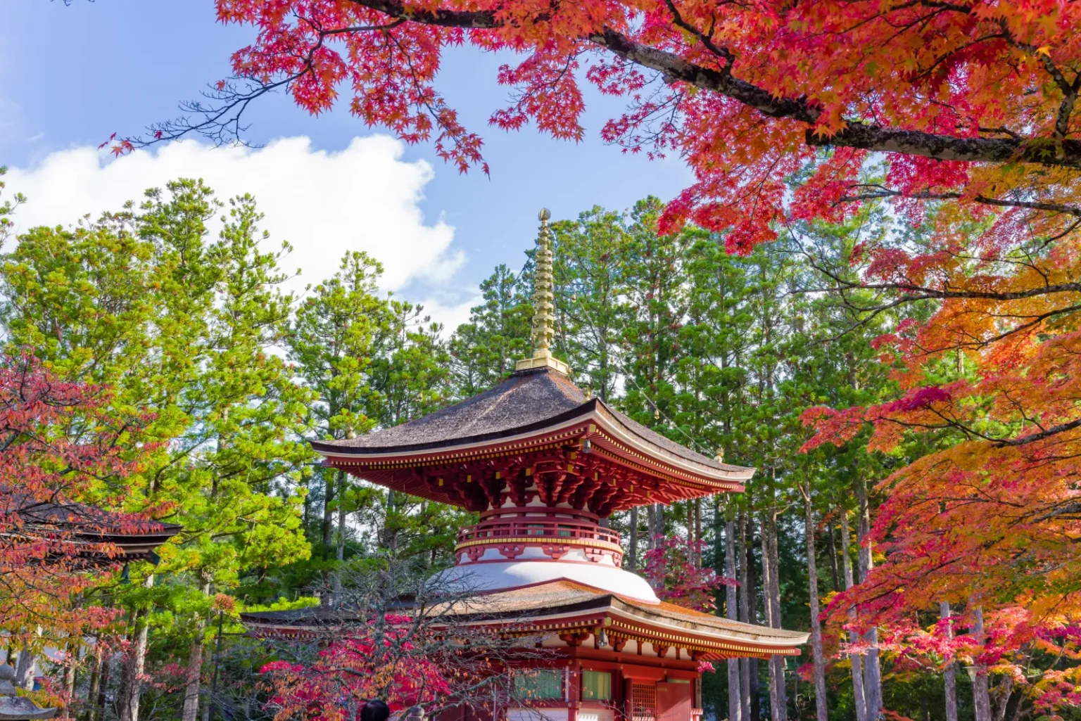 A red two-storey Buddhist pagoda with a white middle section and a bronze finial, surrounded by red and orange maples and green cedars on Mount Koya