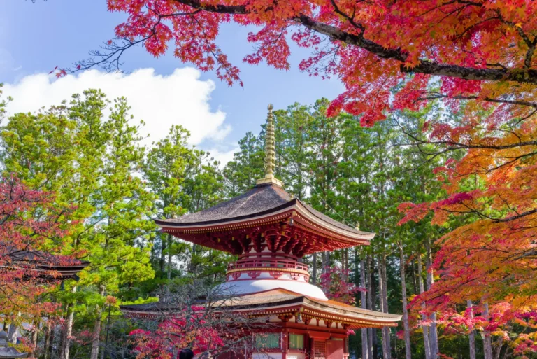 A red two-storey Buddhist pagoda with a white middle section and a bronze finial, surrounded by red and orange maples and green cedars on Mount Koya