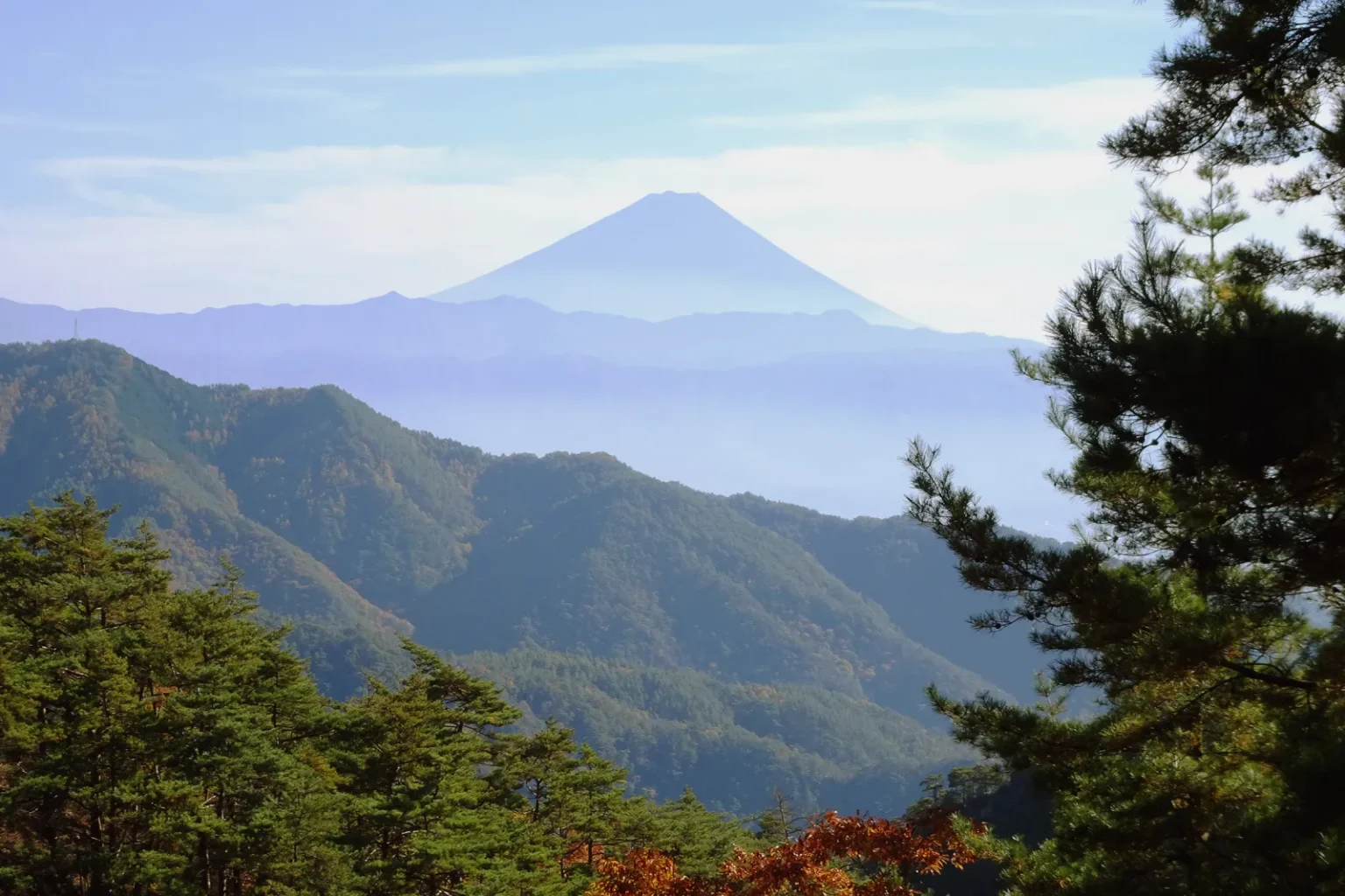 Mt Fuji above layers of hazy blue ridges, framed by a pine tree on the right