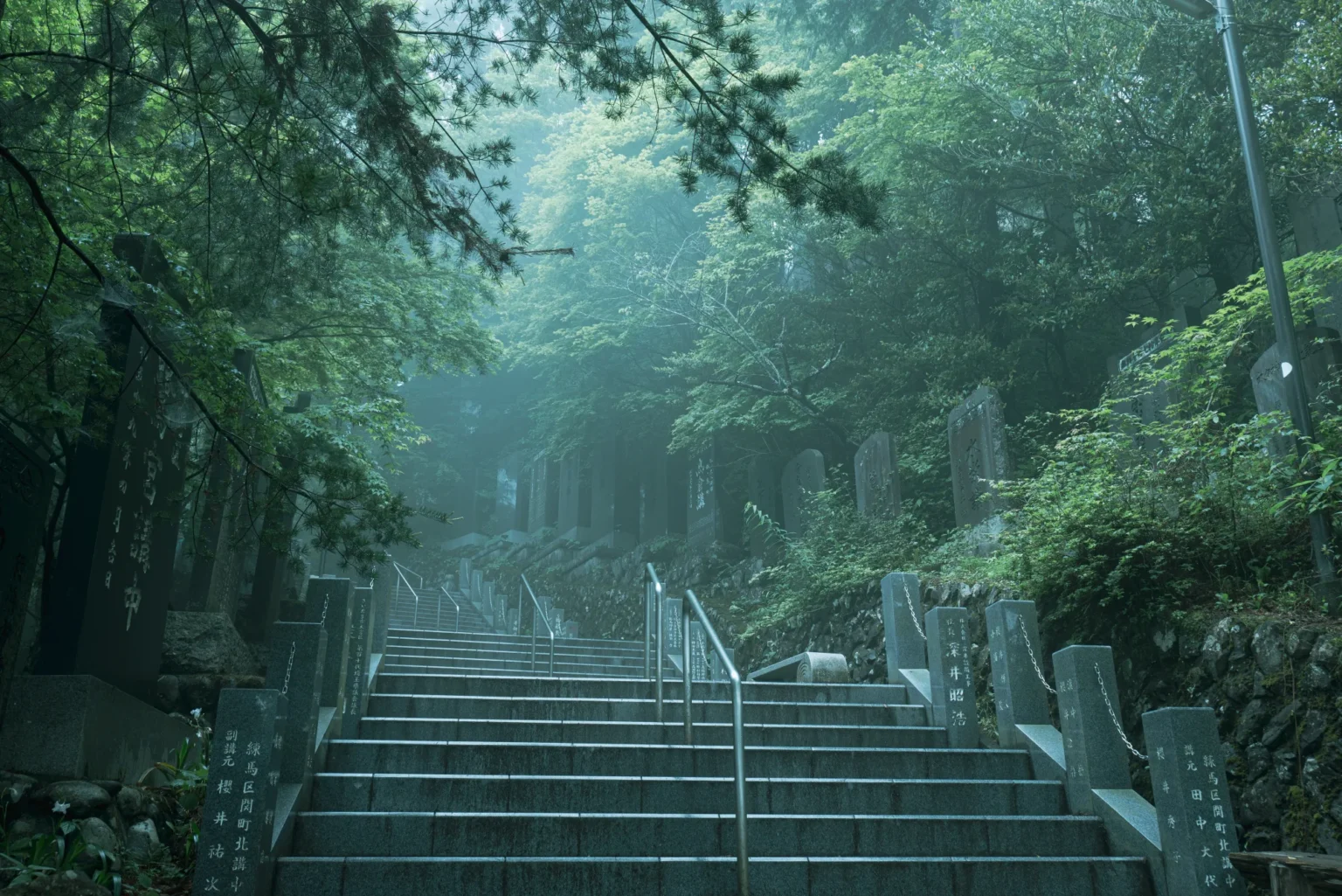 A wide stone stairway with handrails rising through mist toward Musashi Mitake Shrine on Mount Mitake, Tokyo, lined with stone posts and tall tablets carved with the names of pilgrim associations, under green trees