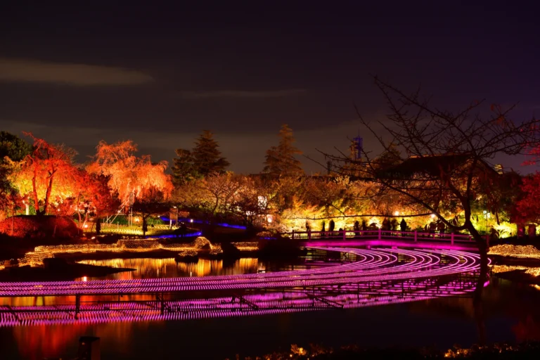 Lit autumn trees and bands of pink lights over the pond at Nabana no Sato at night, reflected in the water