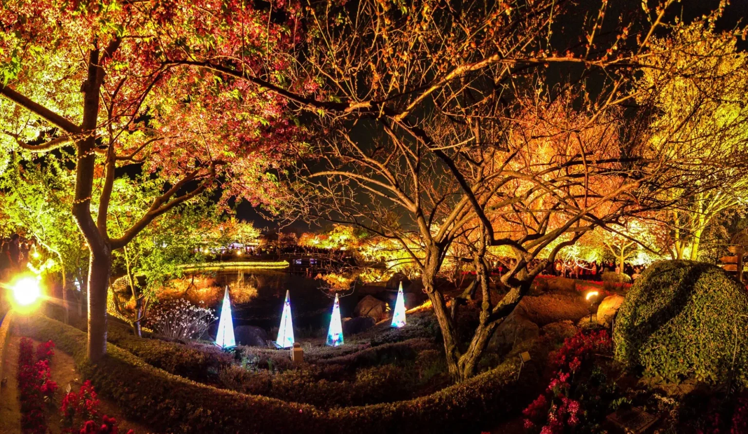 Trees lit in red, orange and yellow arching over a dark pond, with four small cone-shaped white lights among shrubs in the foreground and more lights across the water