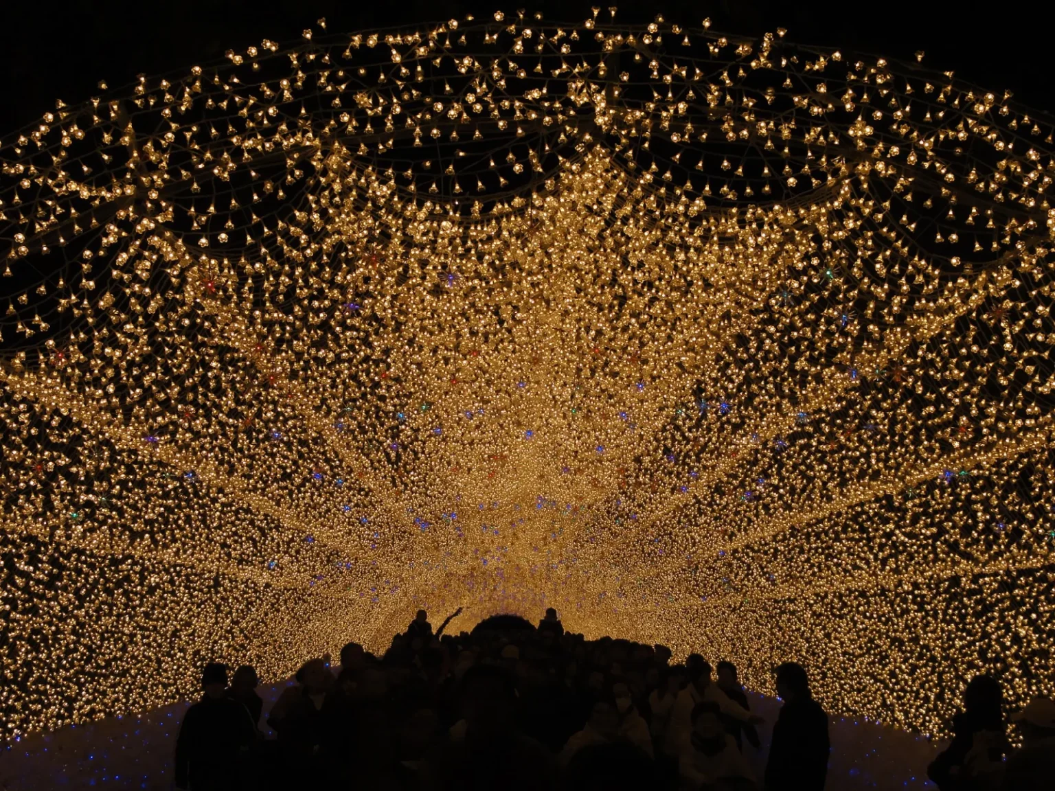 Inside an arched tunnel of light made of thousands of small warm-gold bulbs with a few blue and purple ones, with the dark silhouettes of a crowd of visitors walking through it