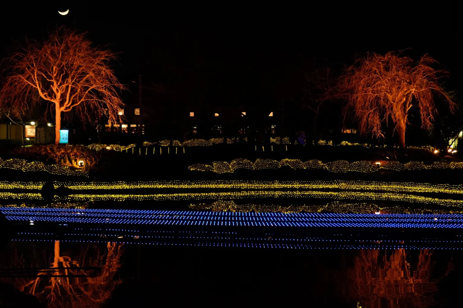 Two weeping trees lit orange above rows of yellow and blue lights beside the water at Nabana no Sato, under a crescent moon
