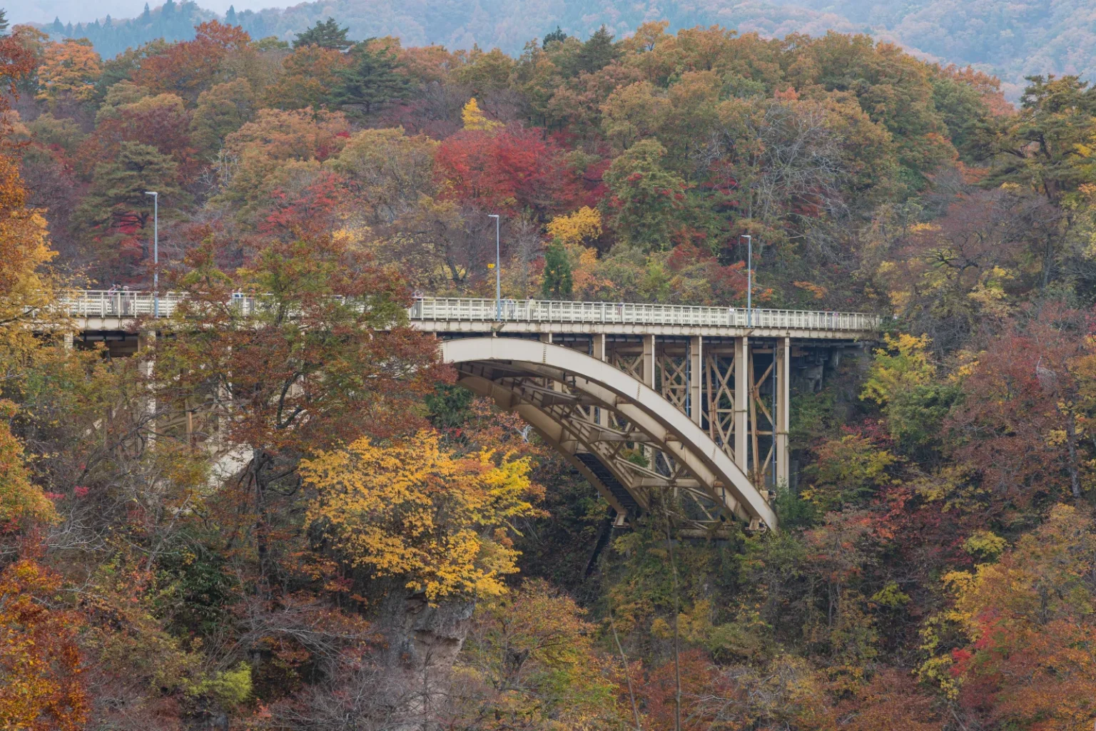 The arch and steel supports of Ofukazawa Bridge seen across the gorge between red, yellow and green trees
