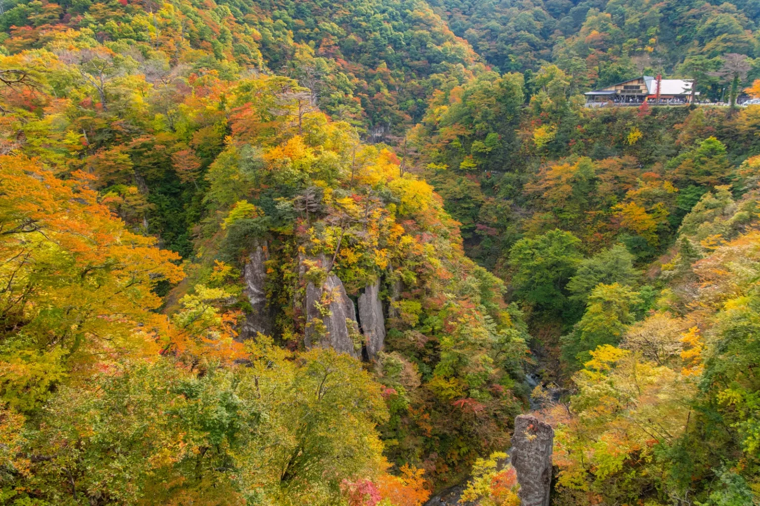 Looking down into the V-shaped Naruko Gorge with rock pillars and trees starting to turn, and the rest house on the rim at top right
