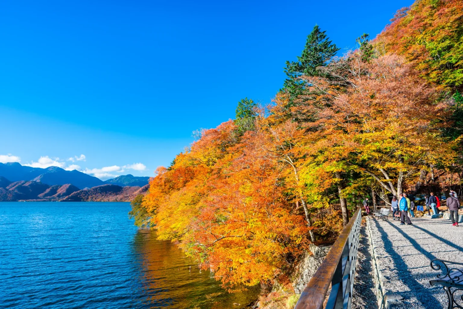 A lakeside path lined with orange autumn trees beside Lake Chuzenji at the former British Embassy villa park