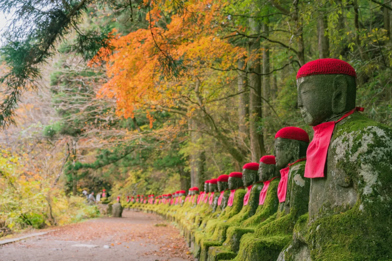 A row of moss-covered stone Jizo statues in red caps and bibs along a path at Kanmangafuchi, under orange maples