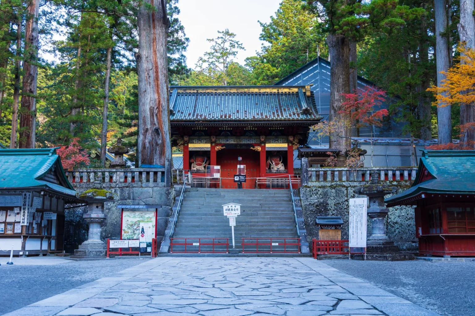 The Omotemon gate of Nikko Toshogu at the top of stone steps among tall cedars, with a few red maples