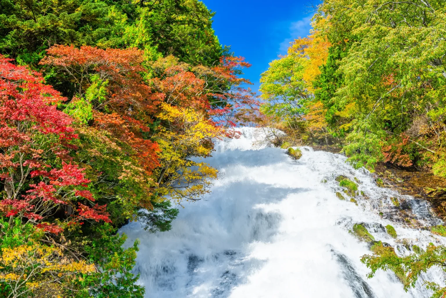 Yudaki Falls in autumn, a wide sheet of white water sliding down between red and yellow trees