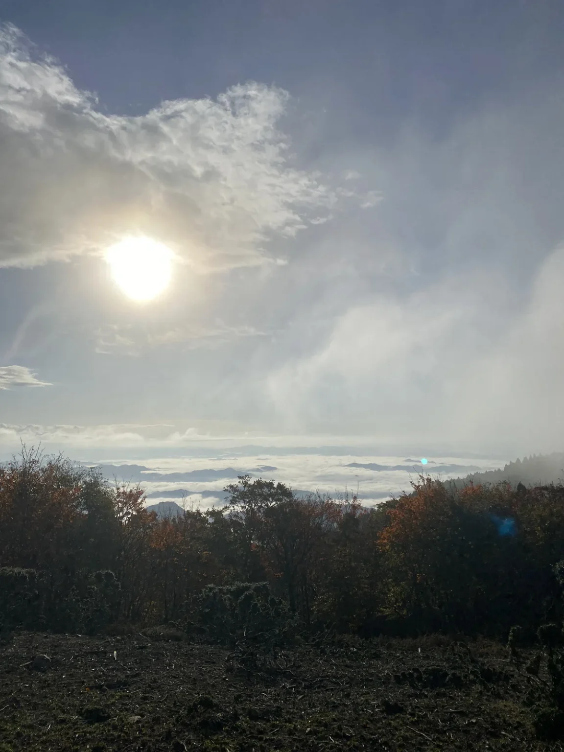 The sun showing through thin mist and cloud above a layer of white cloud and distant ridges, with brown and orange shrubs and bare ground in the foreground, on Mount Oe at 7:57 a.m. on 3 November 2021