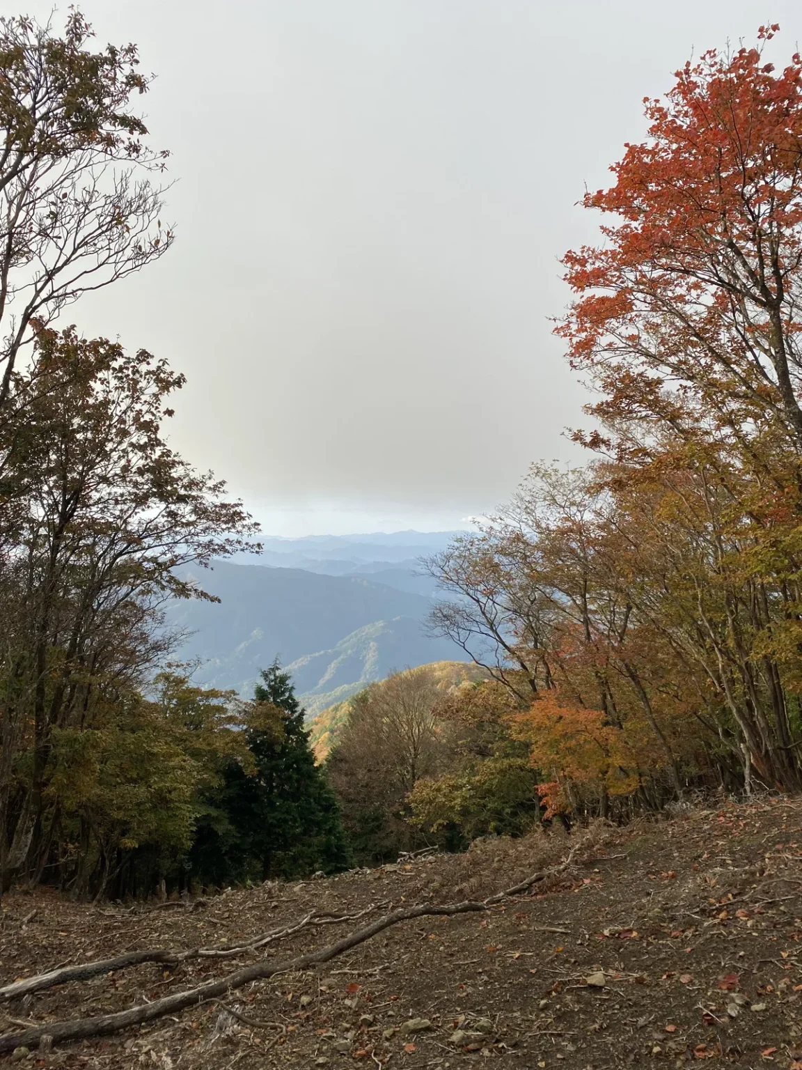 A gap between autumn trees on a leaf-covered dirt path, with red, orange and green leaves and blue-grey mountain ridges below a white sky, on Mount Oe at 7:26 a.m. on 3 November 2021