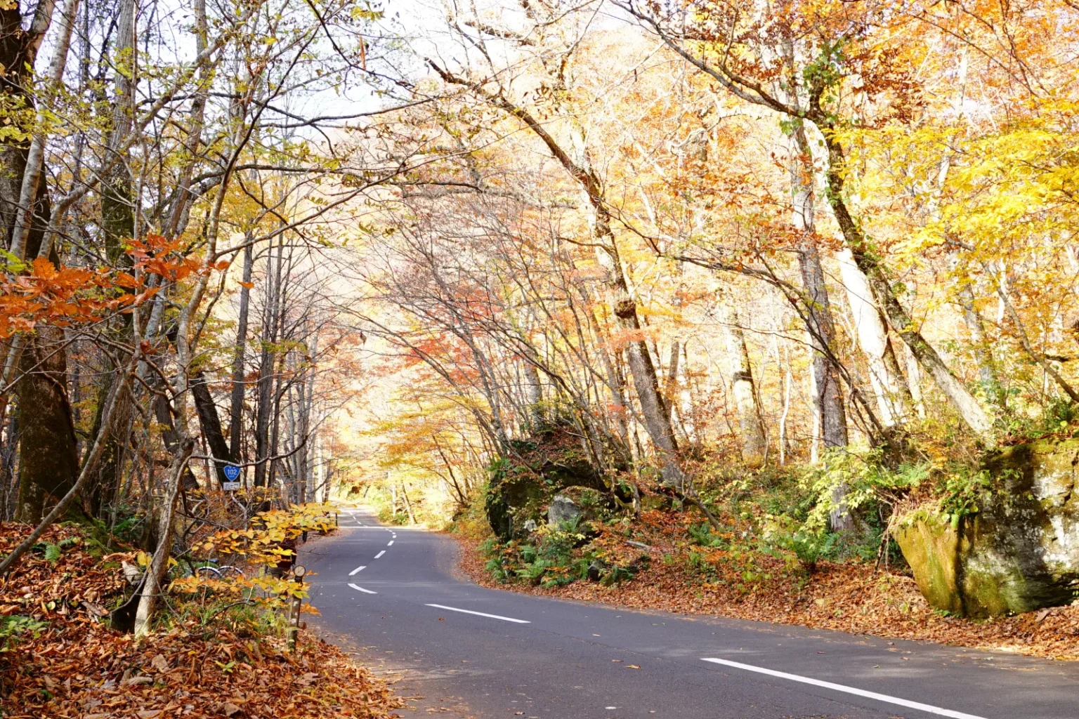 A two-lane road with a Route 102 sign curving through yellow and orange autumn trees, with fallen leaves on the verges
