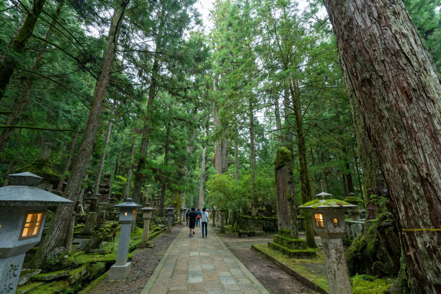A stone-paved path through tall cedar trees at Okunoin, lined with stone lanterns and moss-covered memorials, with two visitors walking away in the distance