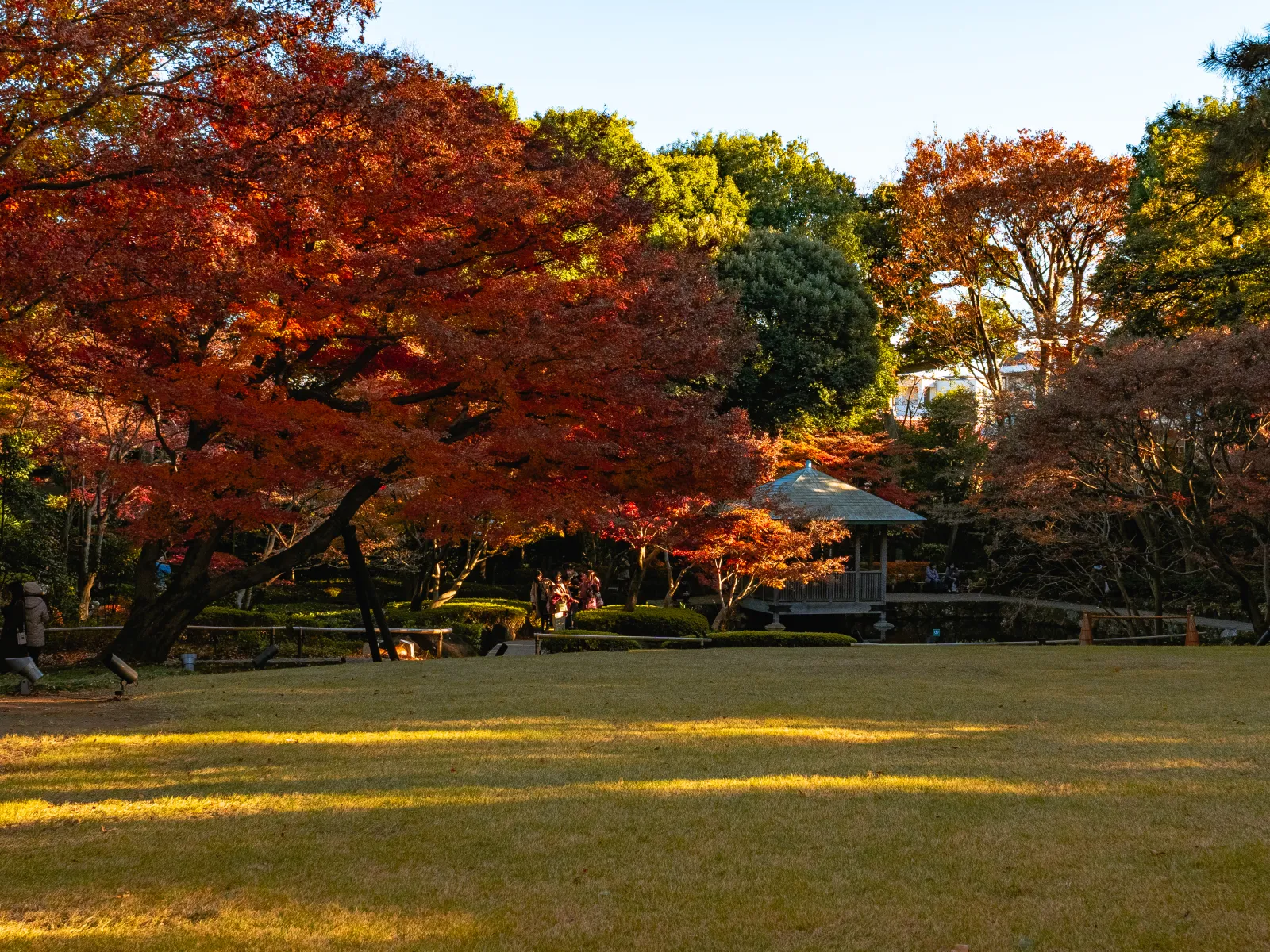 Red and orange maples arching over a sunlit lawn at Otaguro Park, with a small roofed pavilion by the pond and visitors under the trees in the background