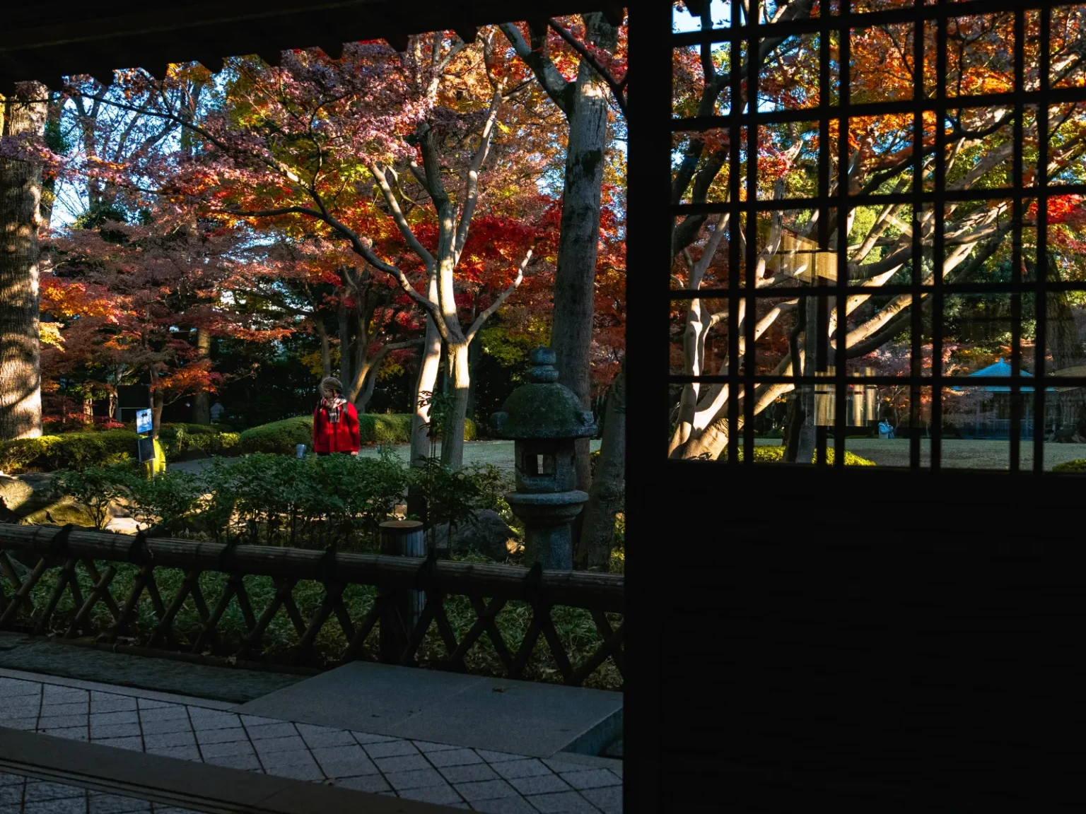 View from inside a dark wooden building through an open doorway and a lattice window onto red maples, a stone lantern and a visitor in a red coat