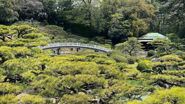 The arched Engetsu Bridge among pine trees in Ritsurin Garden