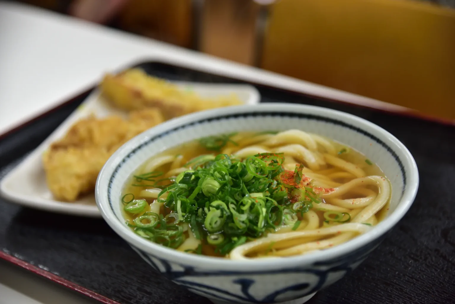 A bowl of Sanuki udon in broth with chopped spring onion, with tempura on the side