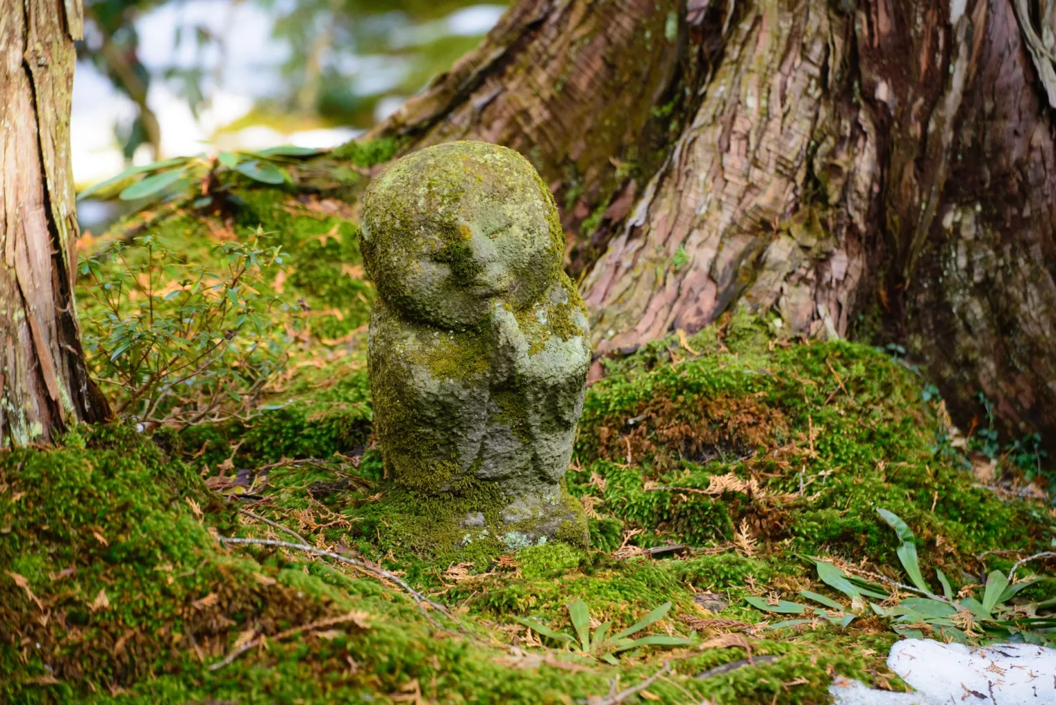 Small stone Warabe Jizo statue in the moss garden of Sanzen-in, Ohara, Kyoto