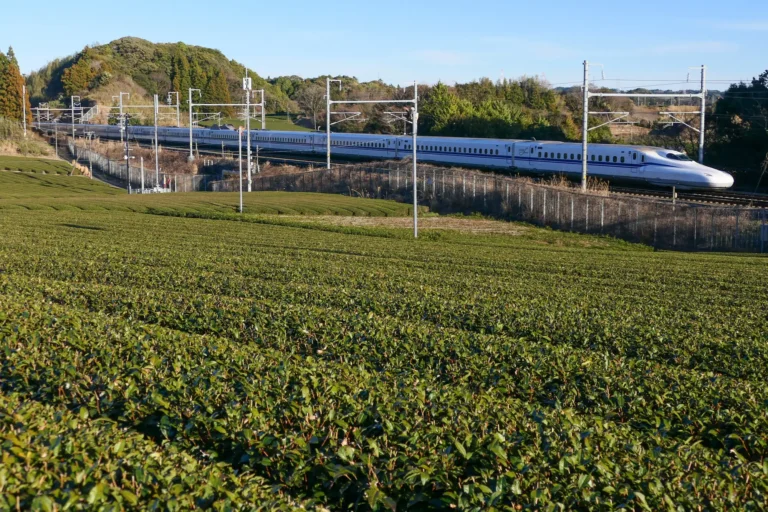 A white N700S Shinkansen train with a blue stripe running past rows of green tea bushes on the Tokaido Shinkansen in Kikugawa, Shizuoka Prefecture, under a clear blue sky