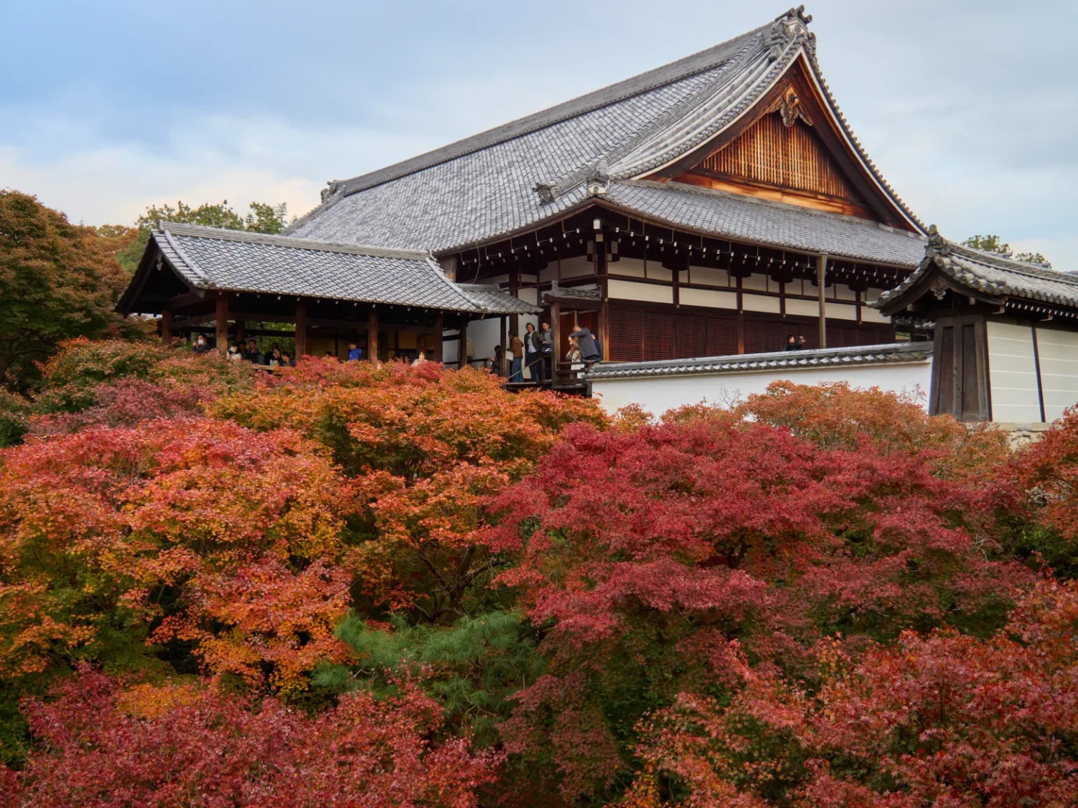 A large temple hall with a grey tiled roof and a smaller roofed building on the left, above a slope of red, orange and green maples, with a few visitors at the railing