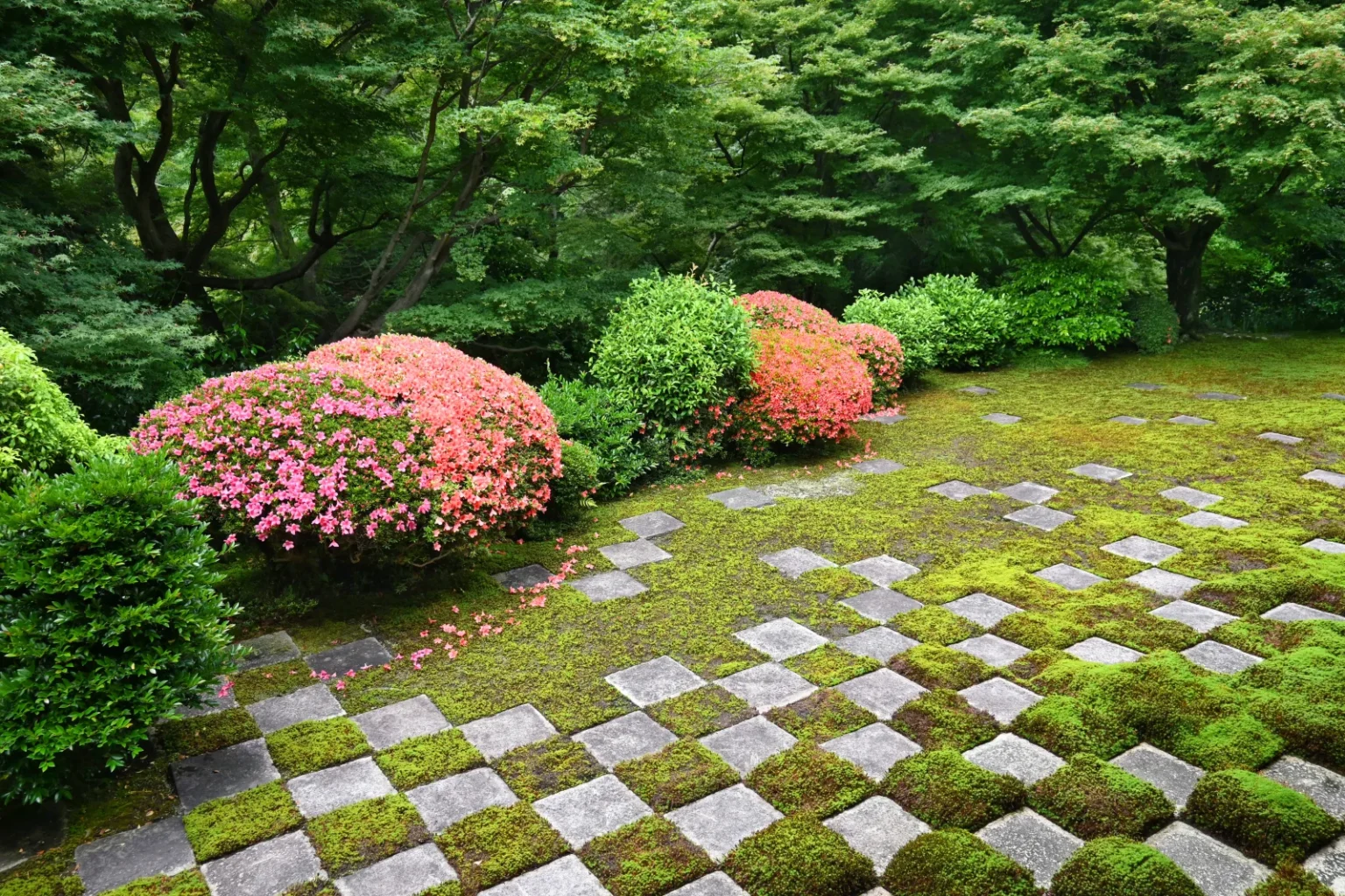 The north garden of the Tofukuji Hojo: square paving stones set in moss in a checkerboard pattern, with azaleas in flower and green maples behind