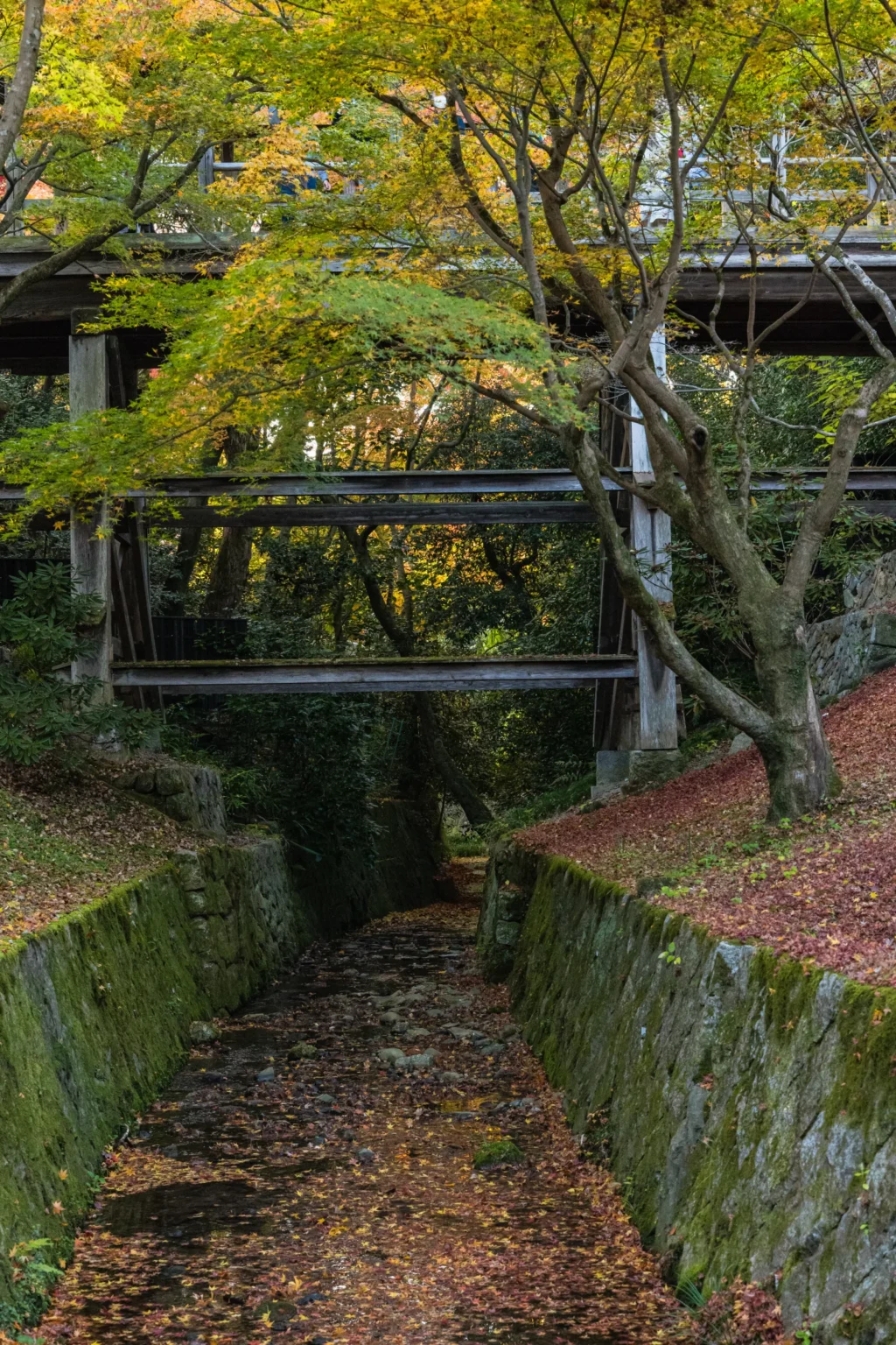 The stone-lined stream bed of the Sengyokukan valley covered in fallen leaves, under maples, with a wooden bridge crossing above
