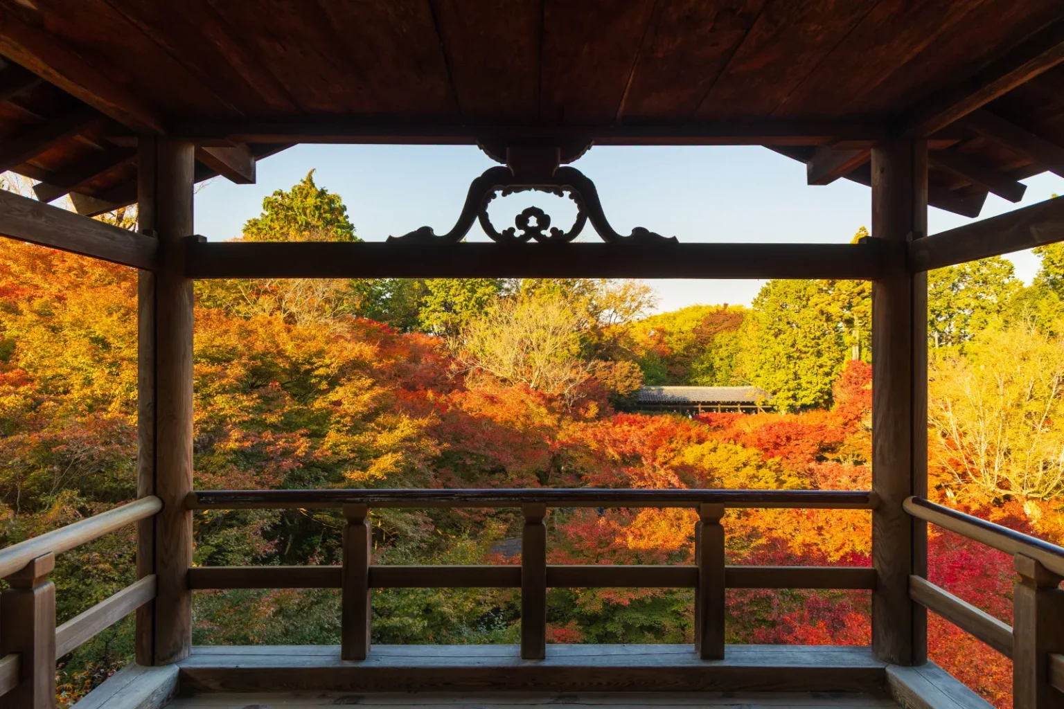 Looking out from inside the roofed Tsutenkyo bridge at Tofukuji over a valley of red, orange and yellow maples