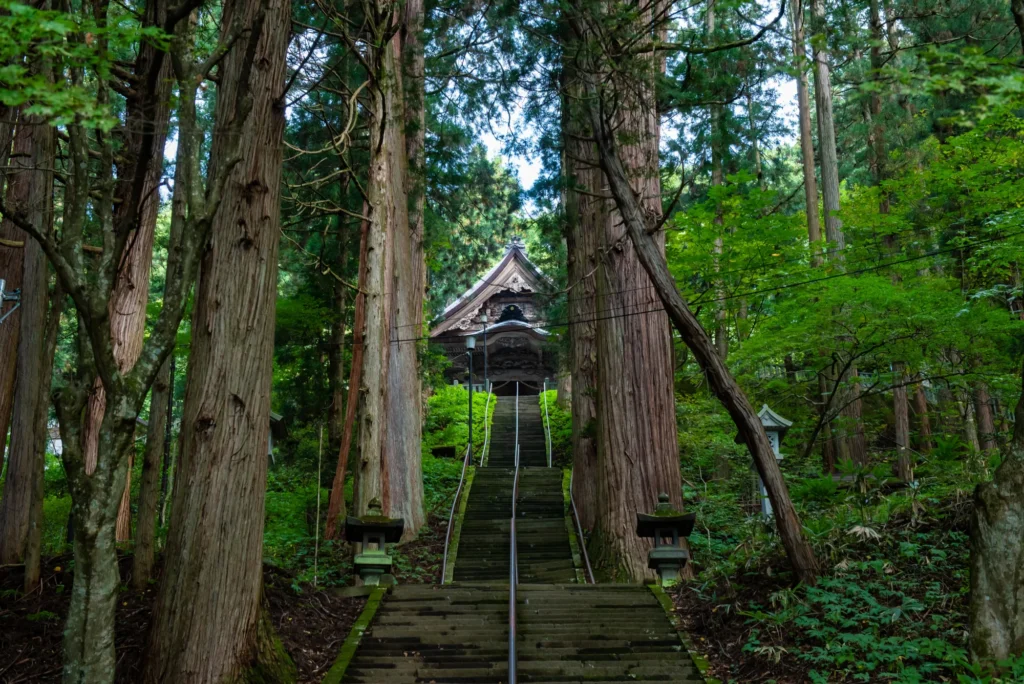 Long stone staircase between tall cedars leading up to Hokosha hall, Togakushi Shrine