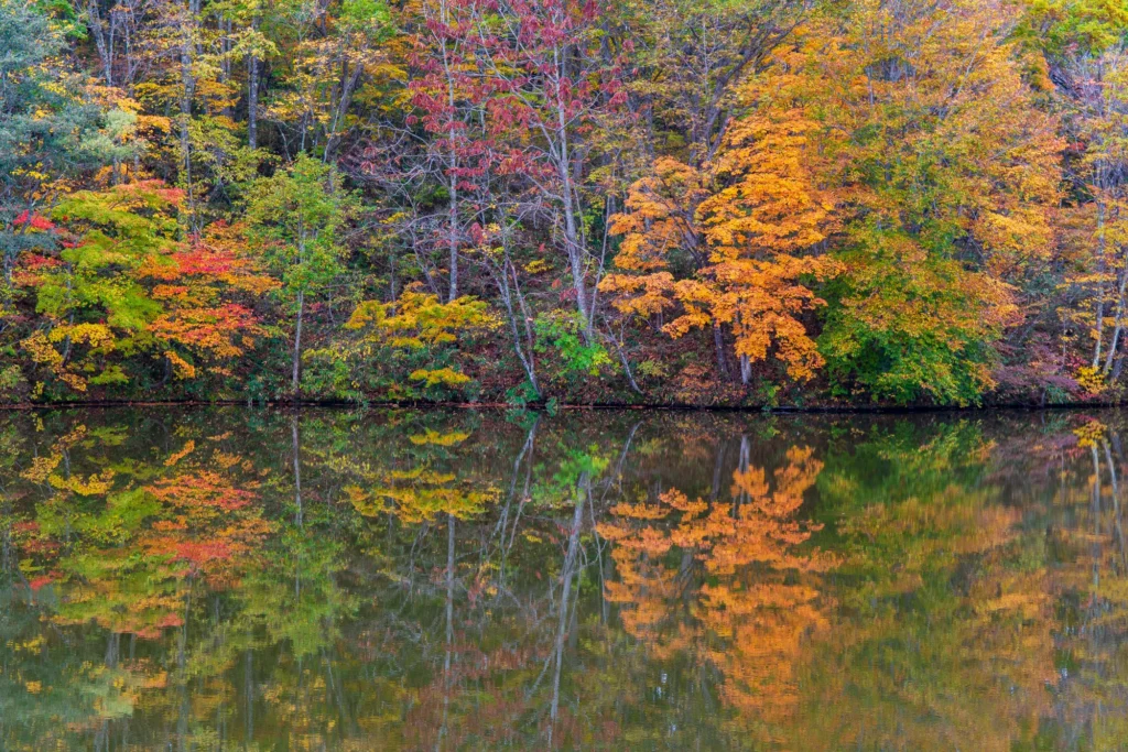 Autumn foliage reflected in the still water of Kagami-ike pond, Togakushi Highlands, Nagano