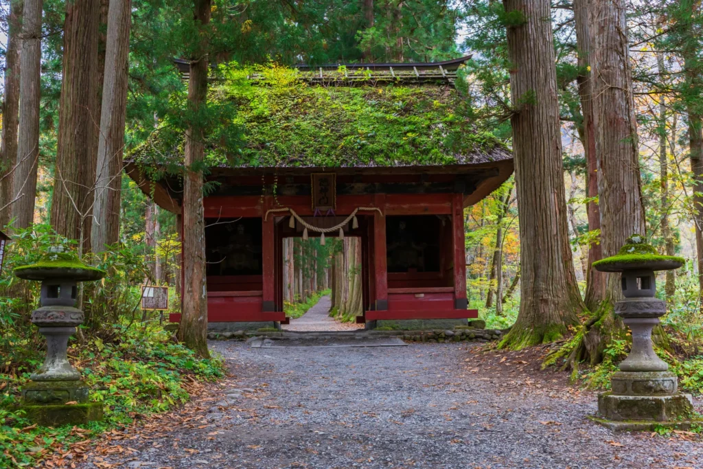 Moss-roofed red Zuishinmon gate with autumn leaves on the Okusha approach, Togakushi Shrine, Nagano