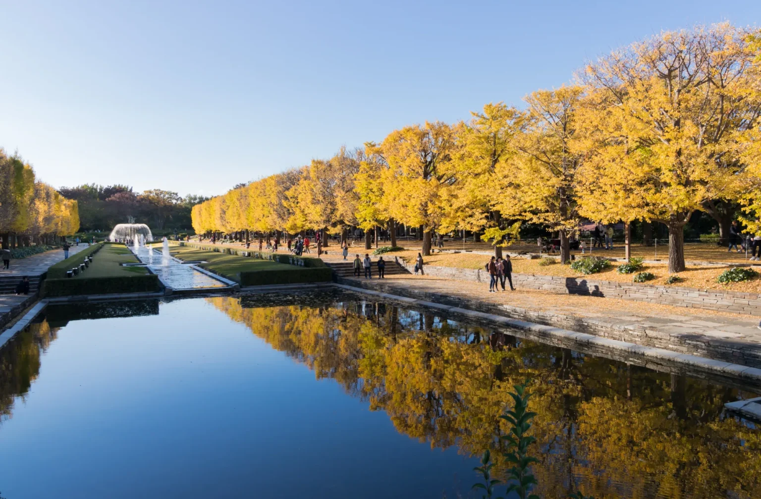 Two rows of golden ginkgo trees reflected in the long canal at Showa Kinen Park in western Tokyo, with fountains at the far end and people walking on the paved path beside the water