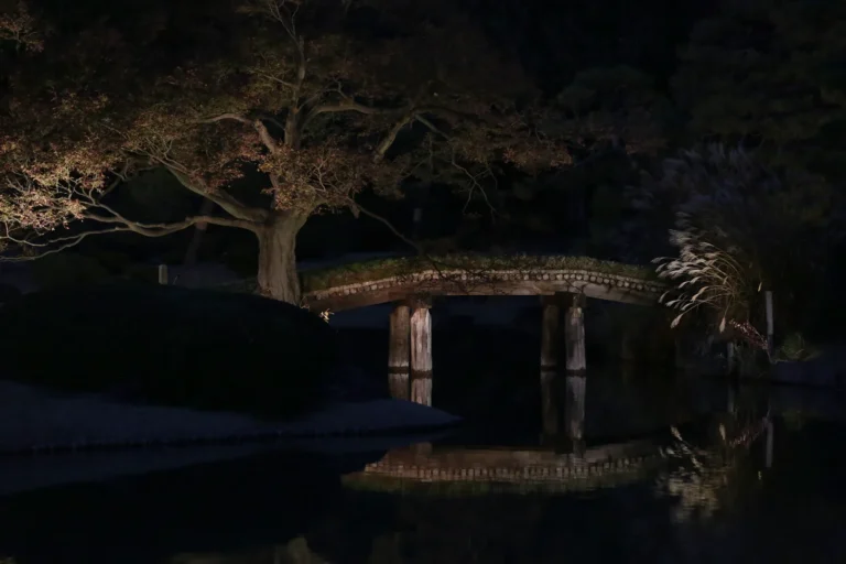 A spotlit wooden bridge and tree reflected in a dark pond at night at Rikugien.